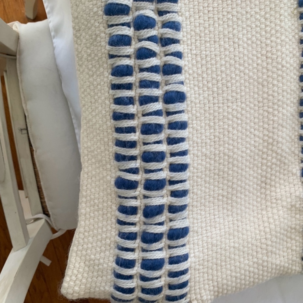 Pottery Barn Reed pillow cover and insert
